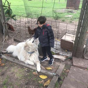 Meet your Posher, Zion